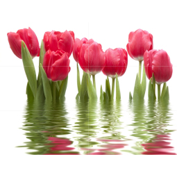 Панно Тюльпаны светлое (06-01-1-64-04-21-160-0)