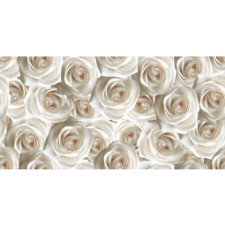 Декор Камелия розы 25х50 