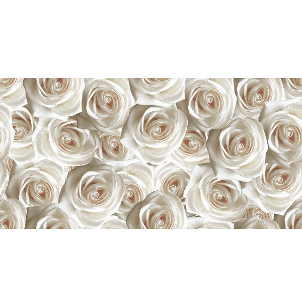 Декор Камелия розы 25х50  СК000027615