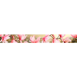 Бордюр Мираж цветы 5.4х50 