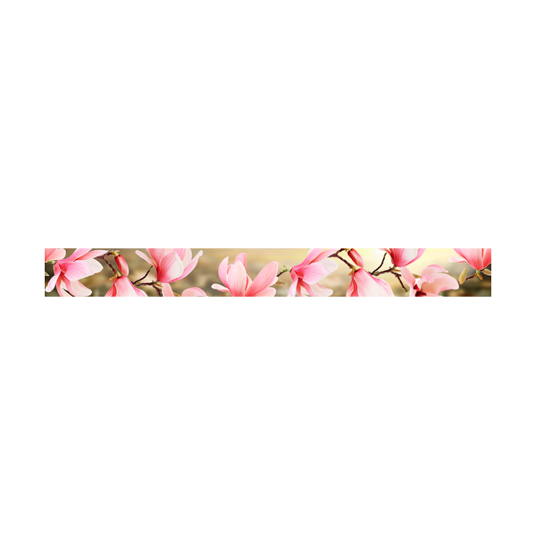 Бордюр Мираж цветы 5.4х50  СК000027713