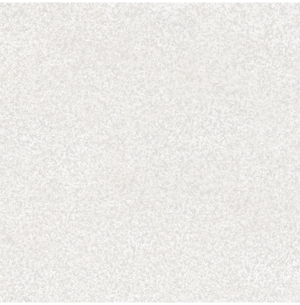 Керамогранит Габбро 7 светло-серый подполированный 60х60 СК000040988
