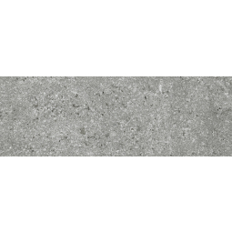 Настенная плитка R 24,2*70,0  LUNARIO SILVER