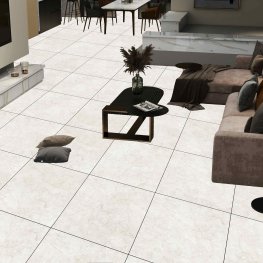 Mega Silver / Мега Сильвер