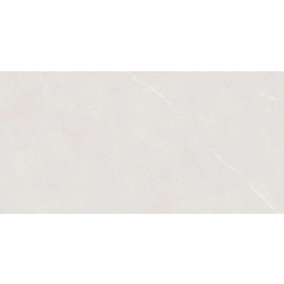 Керамогранит Alicante light grey PT12F7046 60х120 