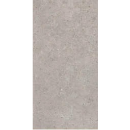 Керамогранит SG519920R Риккарди серый светлый матовый обрезной 60х119,5